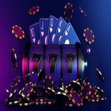 667bet88